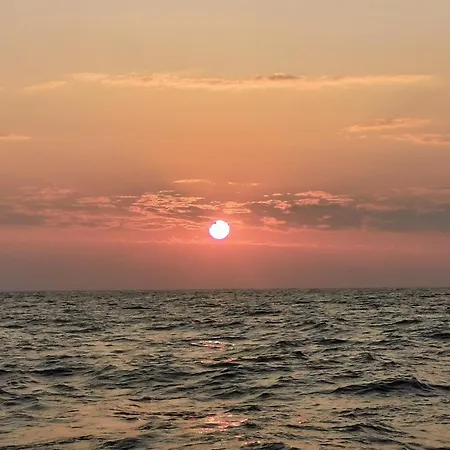 Les Bois Flottes Honfleur