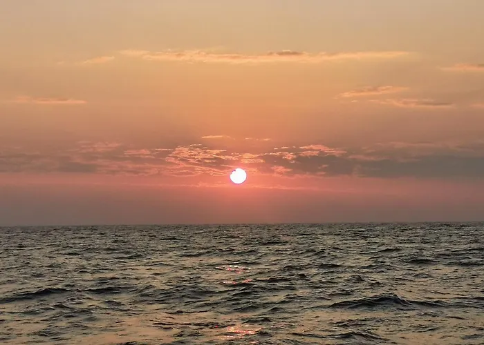 Les Bois Flottes Honfleur